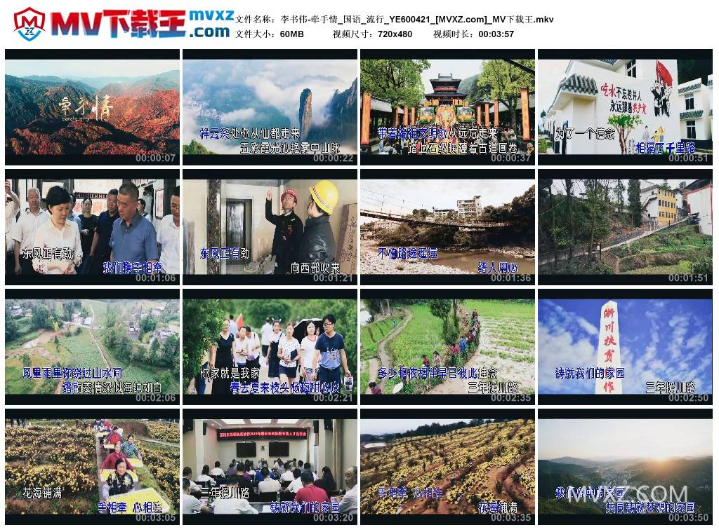 李书伟-牵手情_国语_流行_YE600421